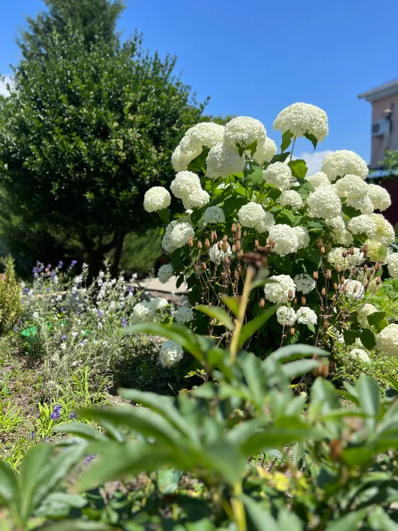 Домик у моря с двориком, мангалом, грилем и тандыром