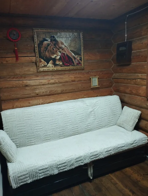 Дом с сауной