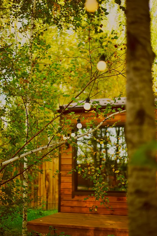 Лесной домик