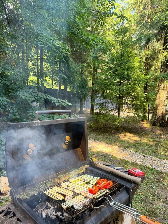 Дом в елях с финской сауной