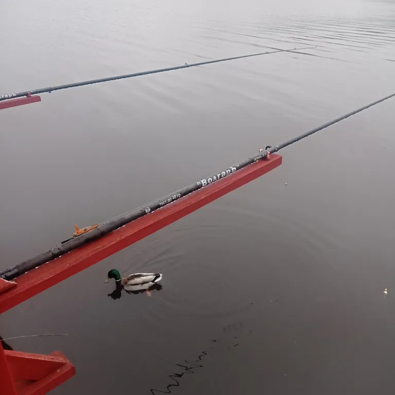 Современный дом на берегу Ладоги