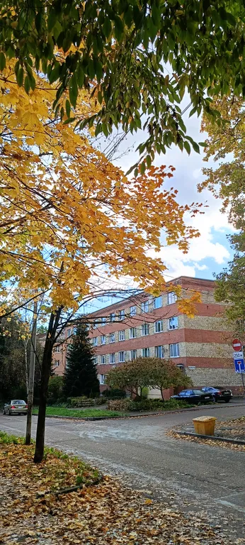 Квартира Квартира Студия на Каштановой — Калининград