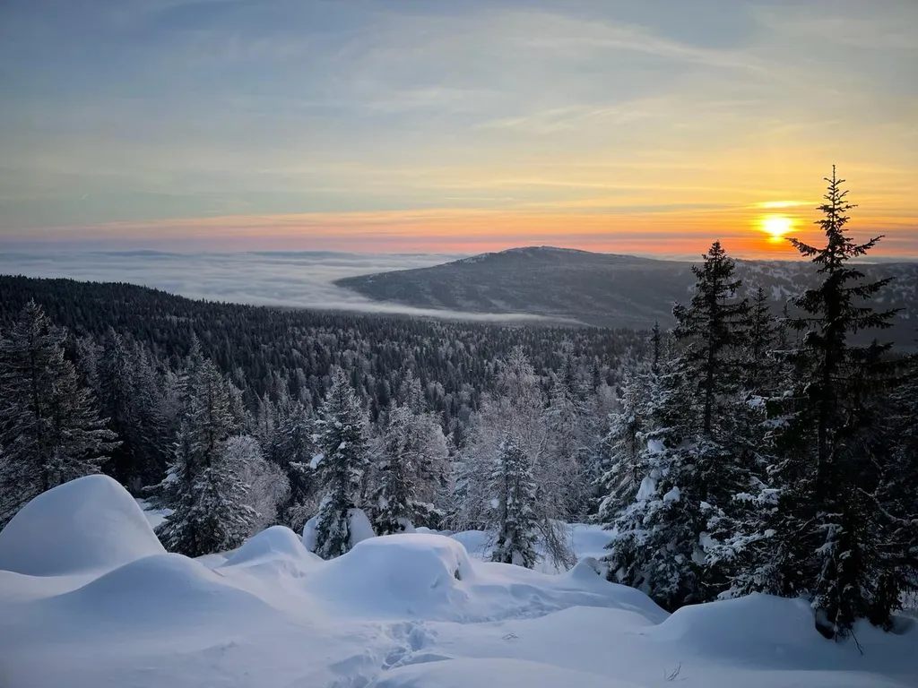 Дом в национальном парке