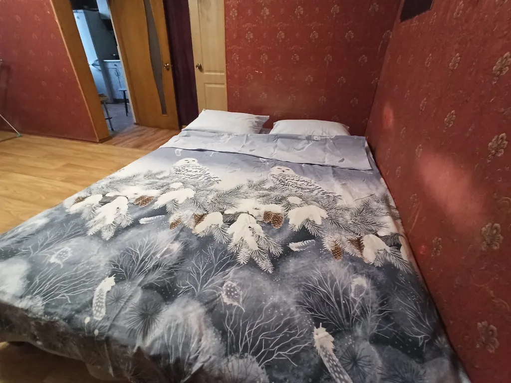 Квартира Квартира В центре напротив Локомотива — Красноярск