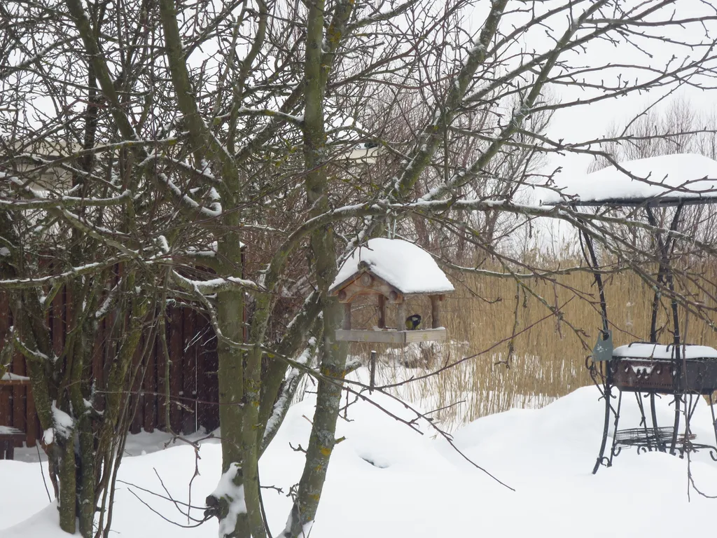 Домик сказка на берегу озера Селигер