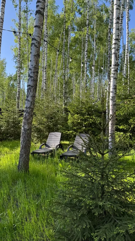 Коттедж Панорамный дом в окружении леса с сауной и чаном — Семеновское