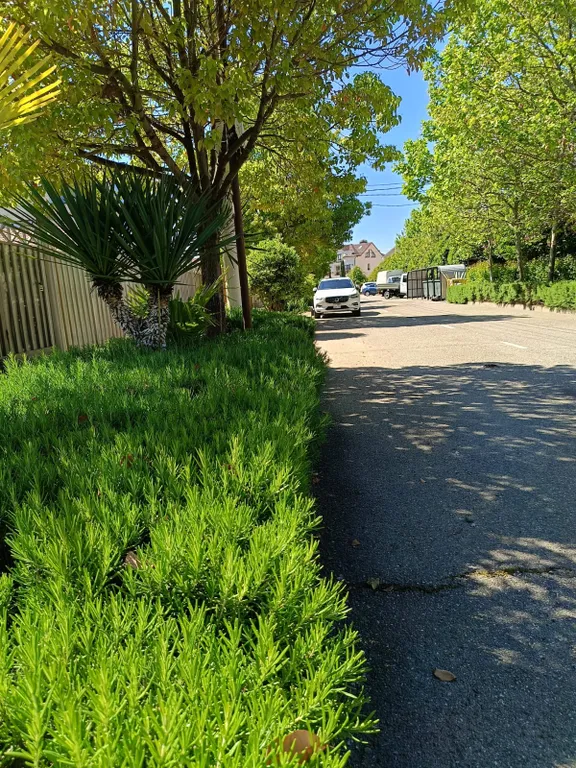 Квартира 1-комнатная Квартира — Сириус