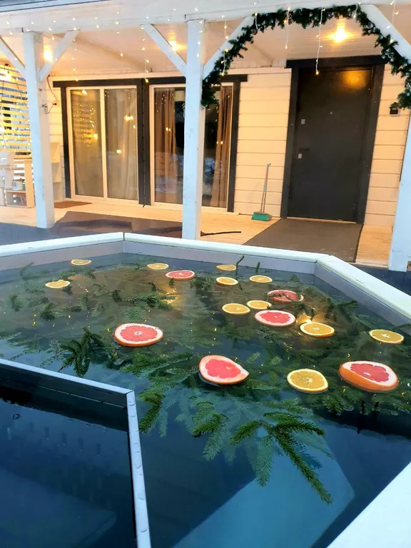 Спа домик с баней и чаном в скандинавском стиле