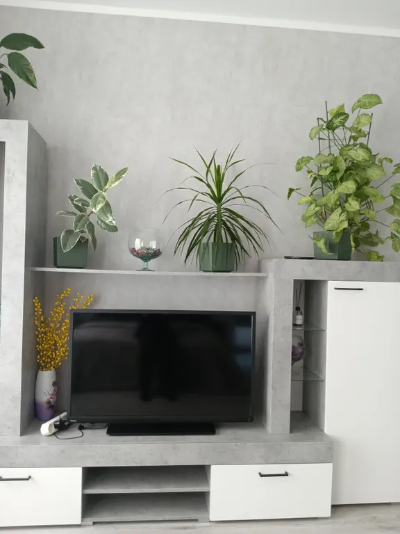 Уютная, новая квартира в ЖК Сказка Град