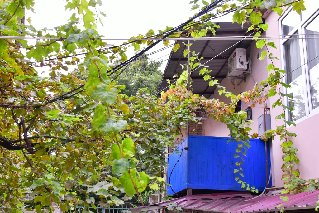 Дом Библиотекаря с Балконом