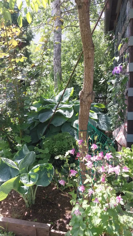 Домик Персиковая поляна