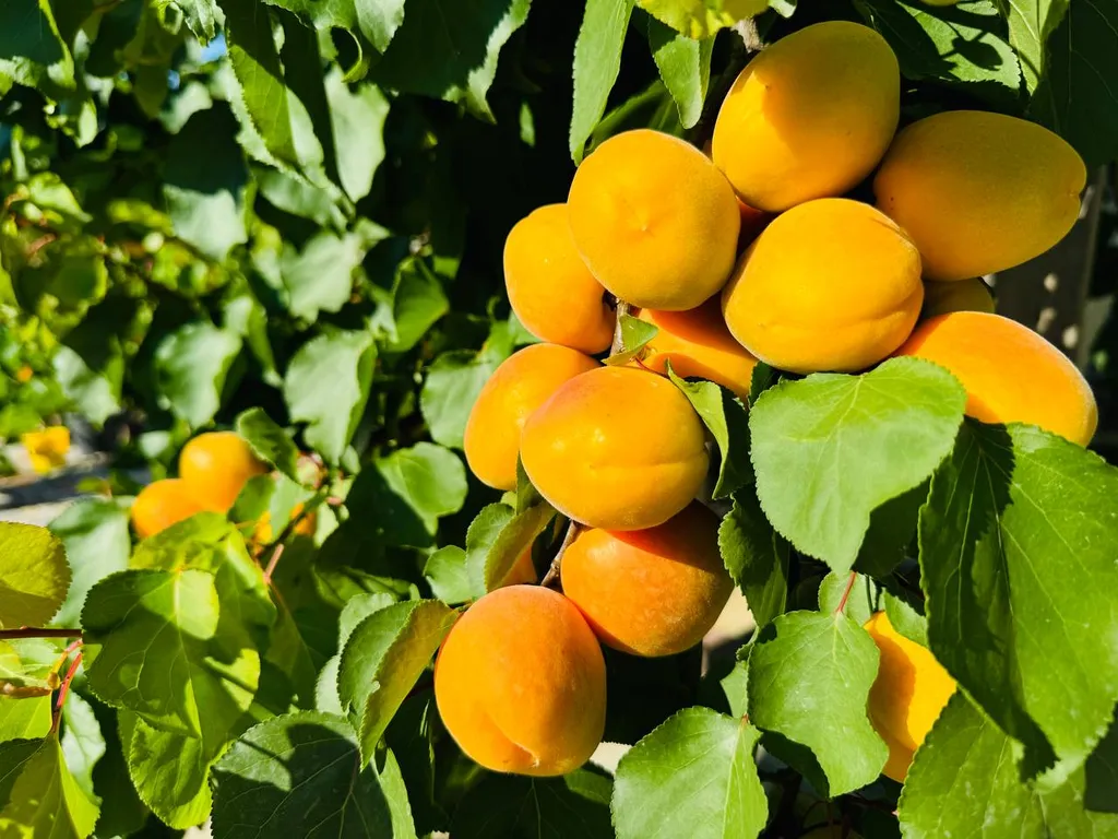 Новая Вилла Нинель возле моря