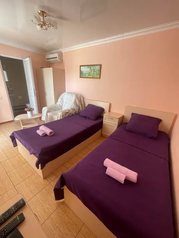 Двухместный стандартный номер с кондиционером и санузлом