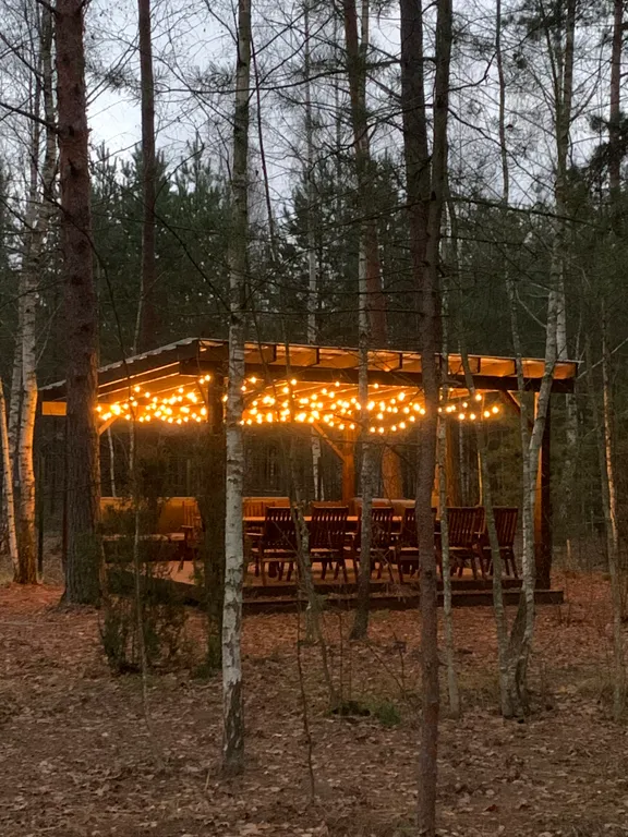 Дом в лесу с джакузи и баней