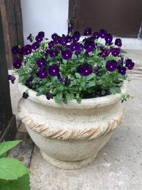 Loft холл у Кремля в центре города