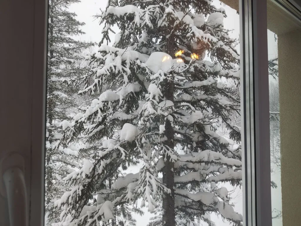 Апартамент 3 спальни + 2 с/у на 3-м этаже