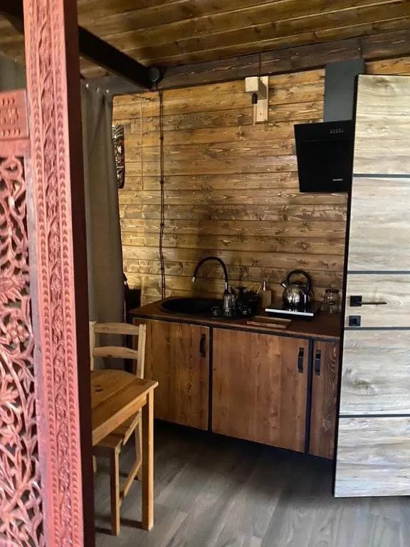 Большой дом