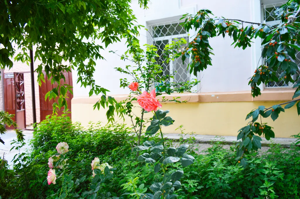 Дом для семейного отдыха у моря