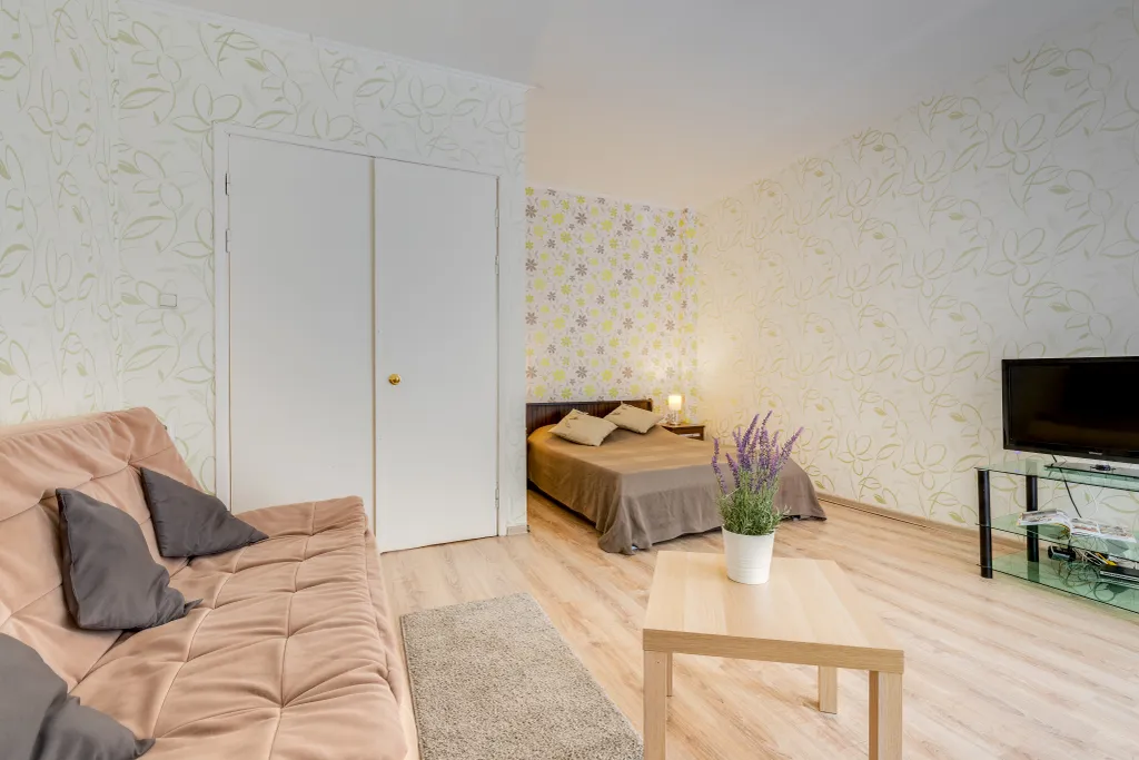 Большая однушка в центре