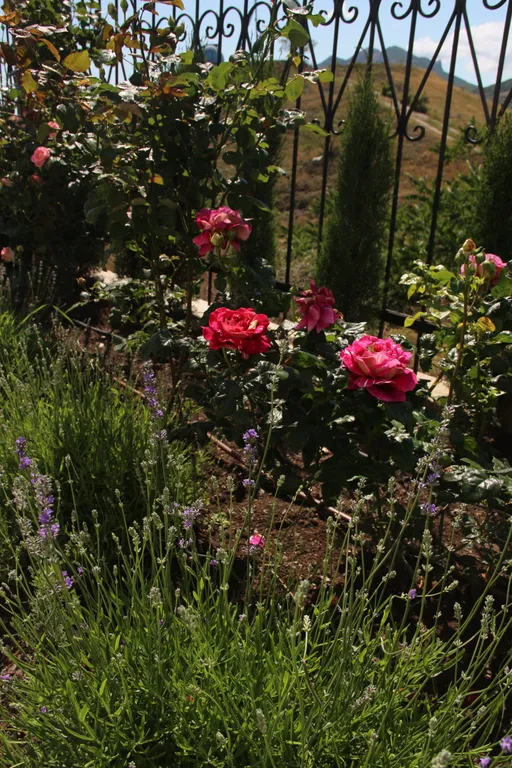 Квартира Квартира Апартамент: доступный люкс с выходом в живописный двор — Курортное (Феодосия)