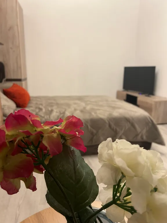 Квартира Кот учёный