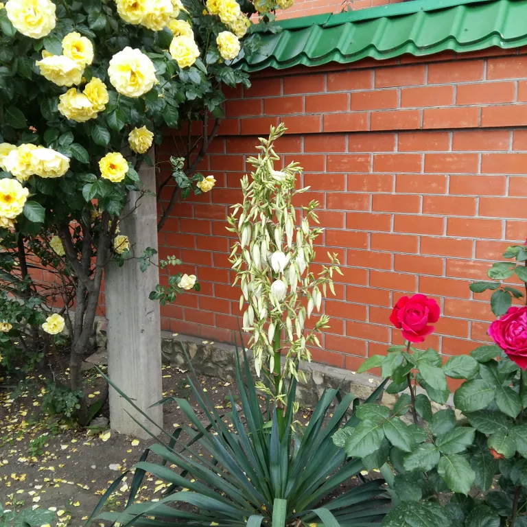 Уютный просторный дом на Крутой