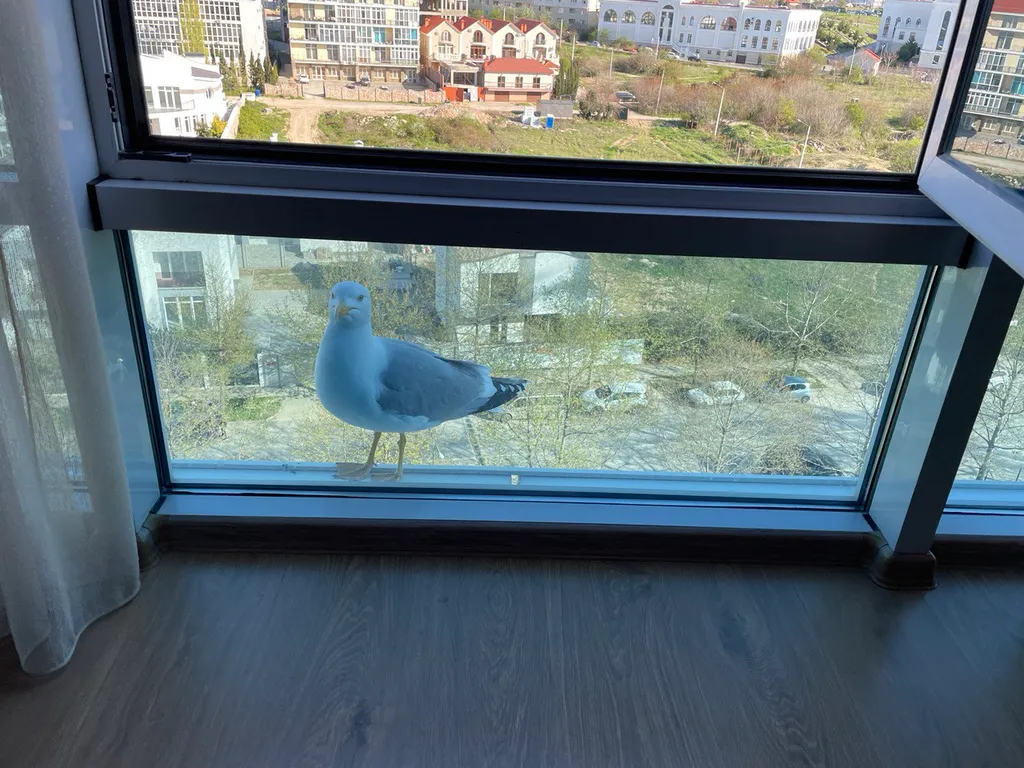 Квартира Уютный апартаменты-студия — Севастополь