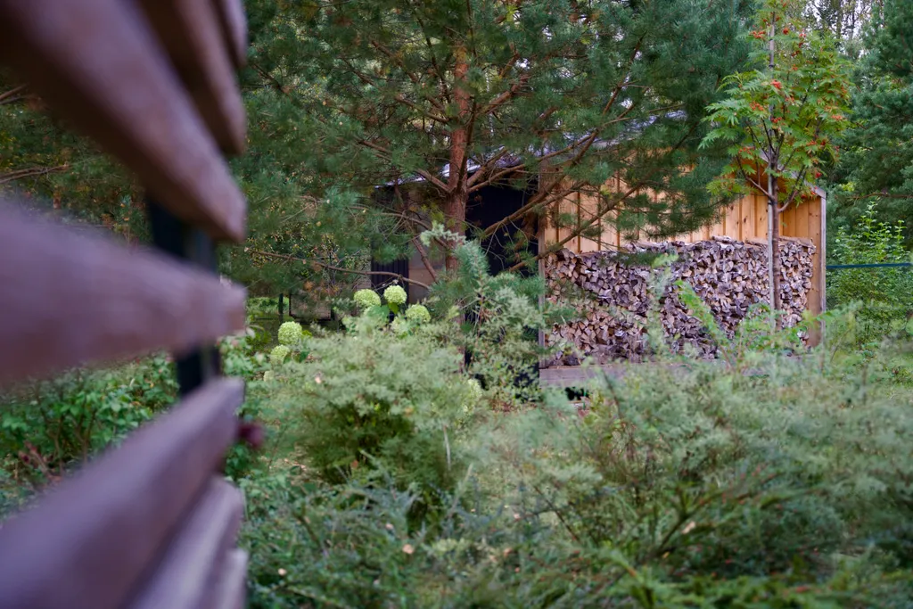 Домик в лесу