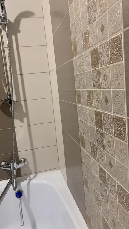 1-комнатная квартира с видом на Китай