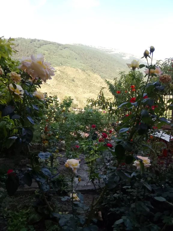 Уютный домик с видом на горы