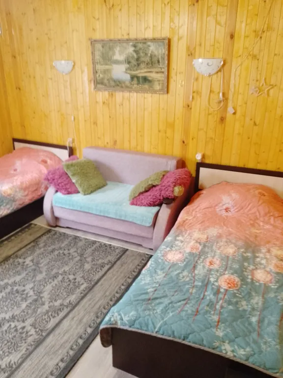 Дом для семьи на Селигере