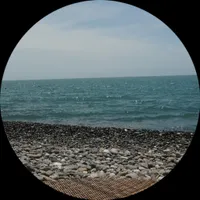 Виктор Варич