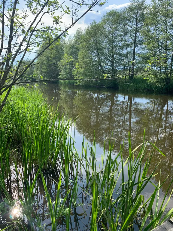 Дом для отдыха в деревне