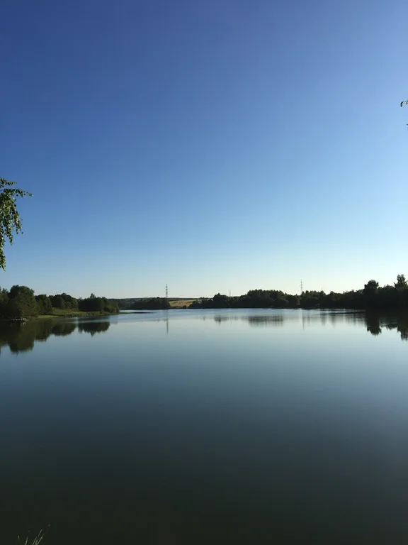 Коттедж Уютный деревянный дом с ландшафтным садом у озера — Шеметово