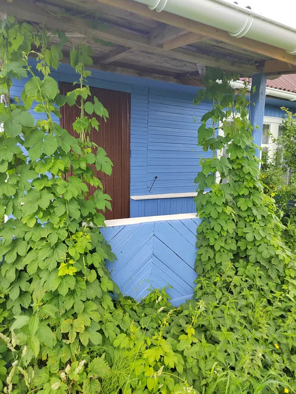 Дача + баня это счастье