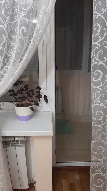 Уютная чистая квартира в тихом районе рядом с лесным массивом