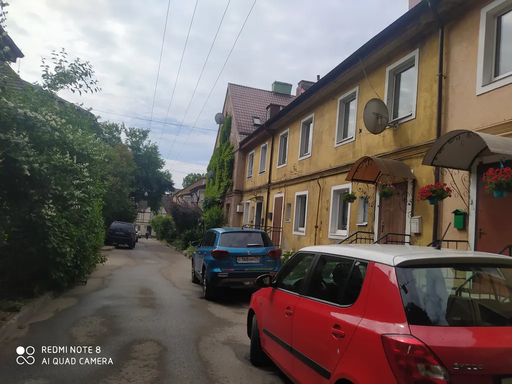 Прусский Кот  (в историческом районе Ratshof на границе с Amalienau)