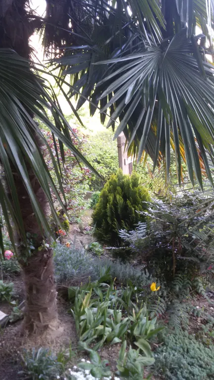 Квартира Уютная квартира  в центре города возле парка Дендрарий одна на этаже. — Сочи