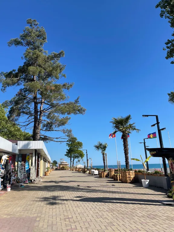 Уютный дом с видом на море и лес