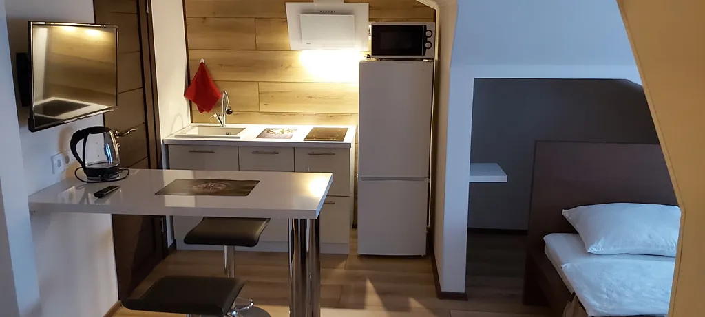 Квартира-студия на мансардном этаже