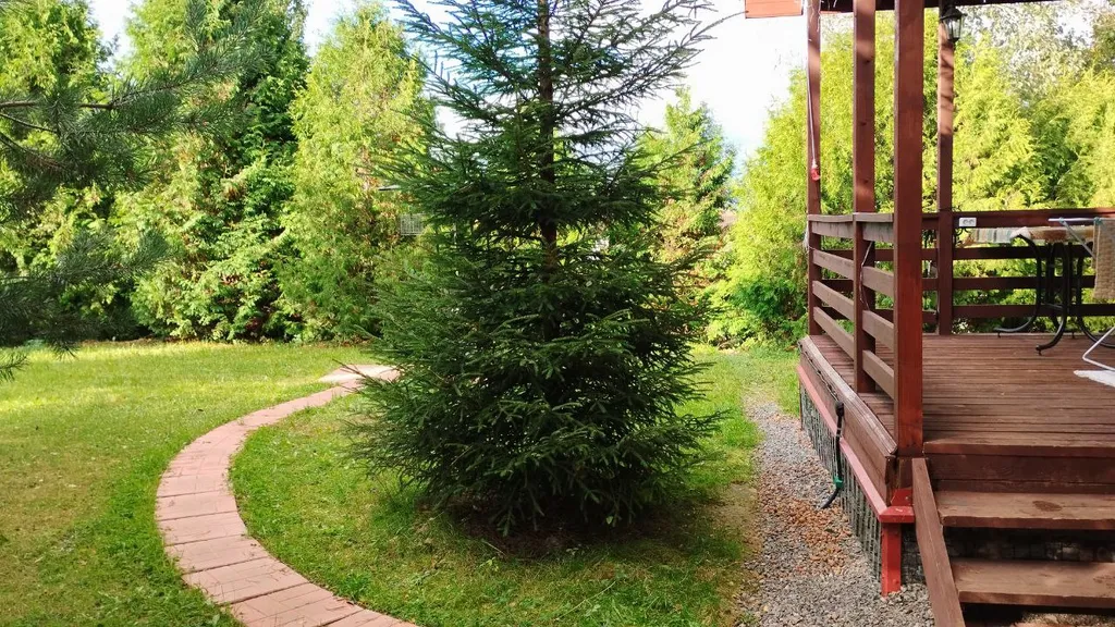 Хуторок на горке