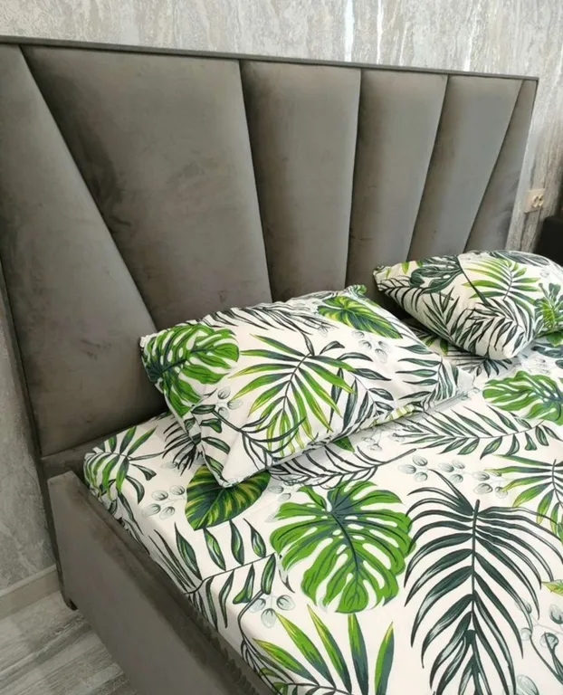 Студия с видом на Эльбрус