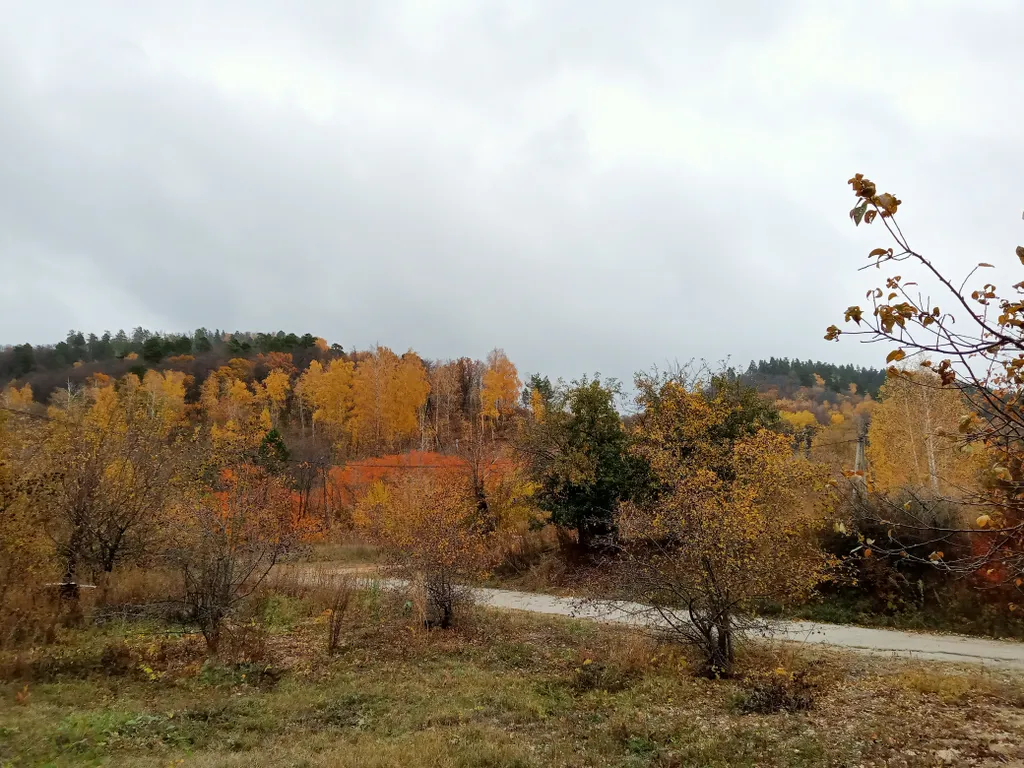 Домик в подгорье Жигулей