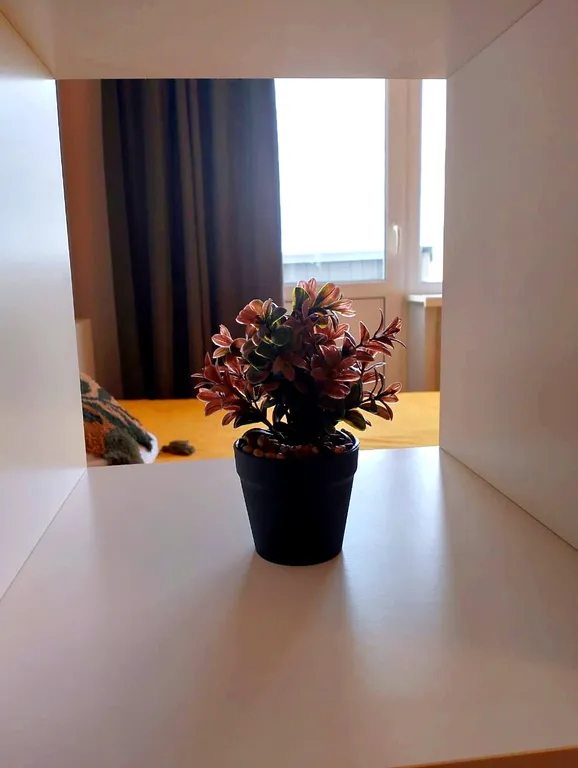 Однокомнатная квартира Птичка напротив 11 больницы