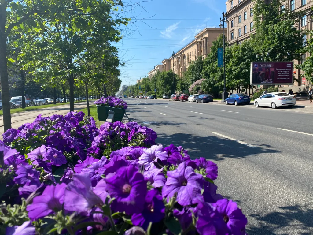 Квартира Тихая квартира в уютном дворе — Санкт-Петербург