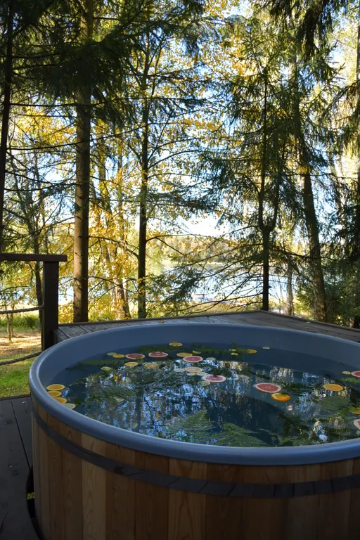 Дом с панорамными окнами в чаще леса у берега реки