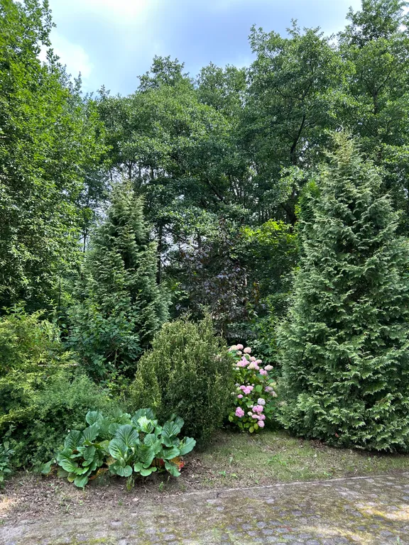 Уютная квартира в историческом центре