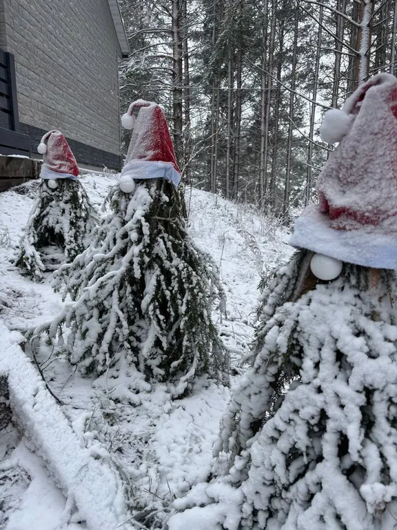 Уютный дом, баня на дровах, банный чан в сосновом бору Петрозаводска