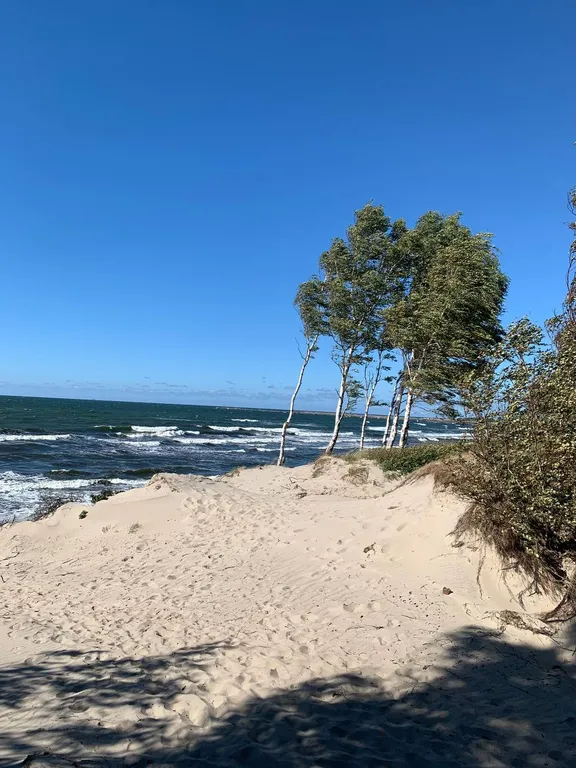 Квартира для отдыха на побережье балтийского моря