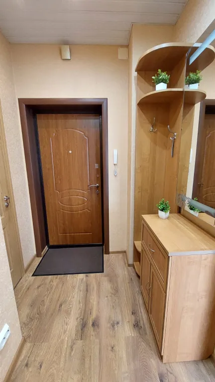 Уютная квартира у метро Дыбенко и парка Оккервиль